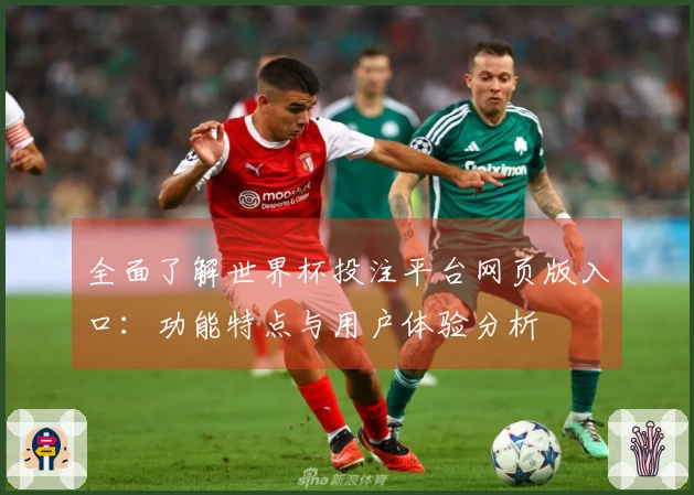 全面了解世界杯投注平台网页版入口：功能特点与用户体验分析
