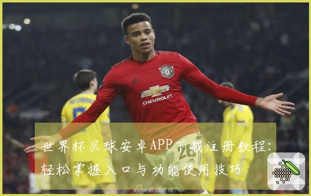 世界杯买球安卓APP下载注册教程:轻松掌握入口与功能使用技巧